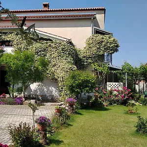 https://sasa-bozac.in-istria.net